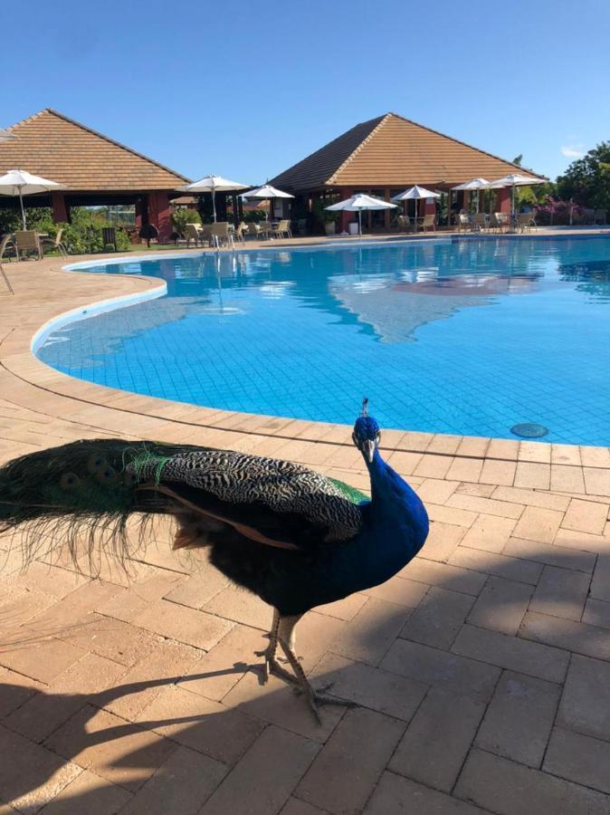 Praia Do Forte Village Das Acacias Экстерьер фото